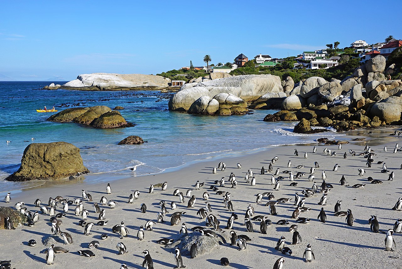 Cape Town