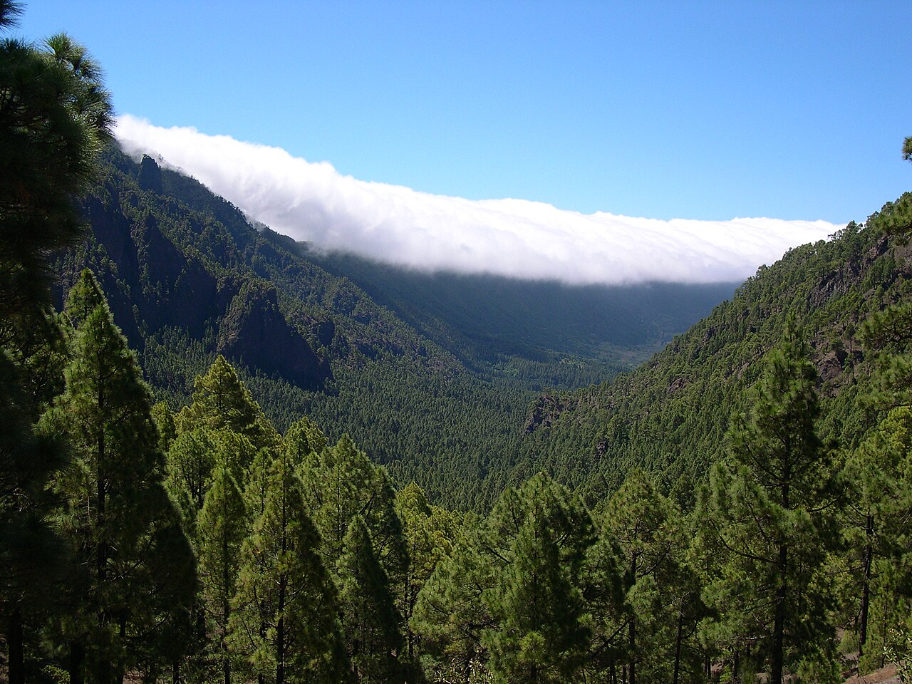 Foto fra La Palma, Kanariøyene – Caldera de Taburiente La Palma
