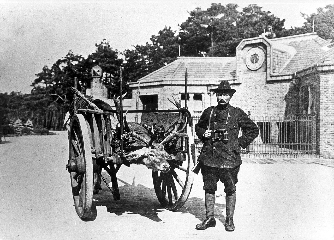 Foto fra Hoge Veluwe, Nederland: Jachtopziener Hoge Veluwe met op zijn kar een edelhert, Nederland, 1900-1910, SF