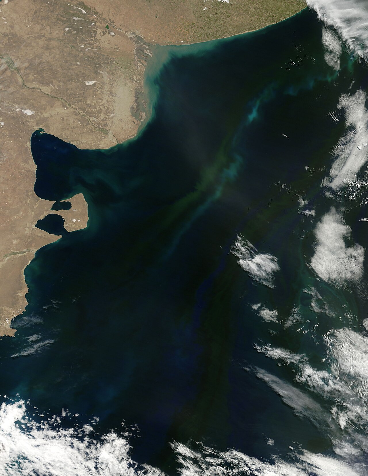 Foto fra Karibiske kysten, Venezuela – Spring Bloom in the South Atlantic Ocean