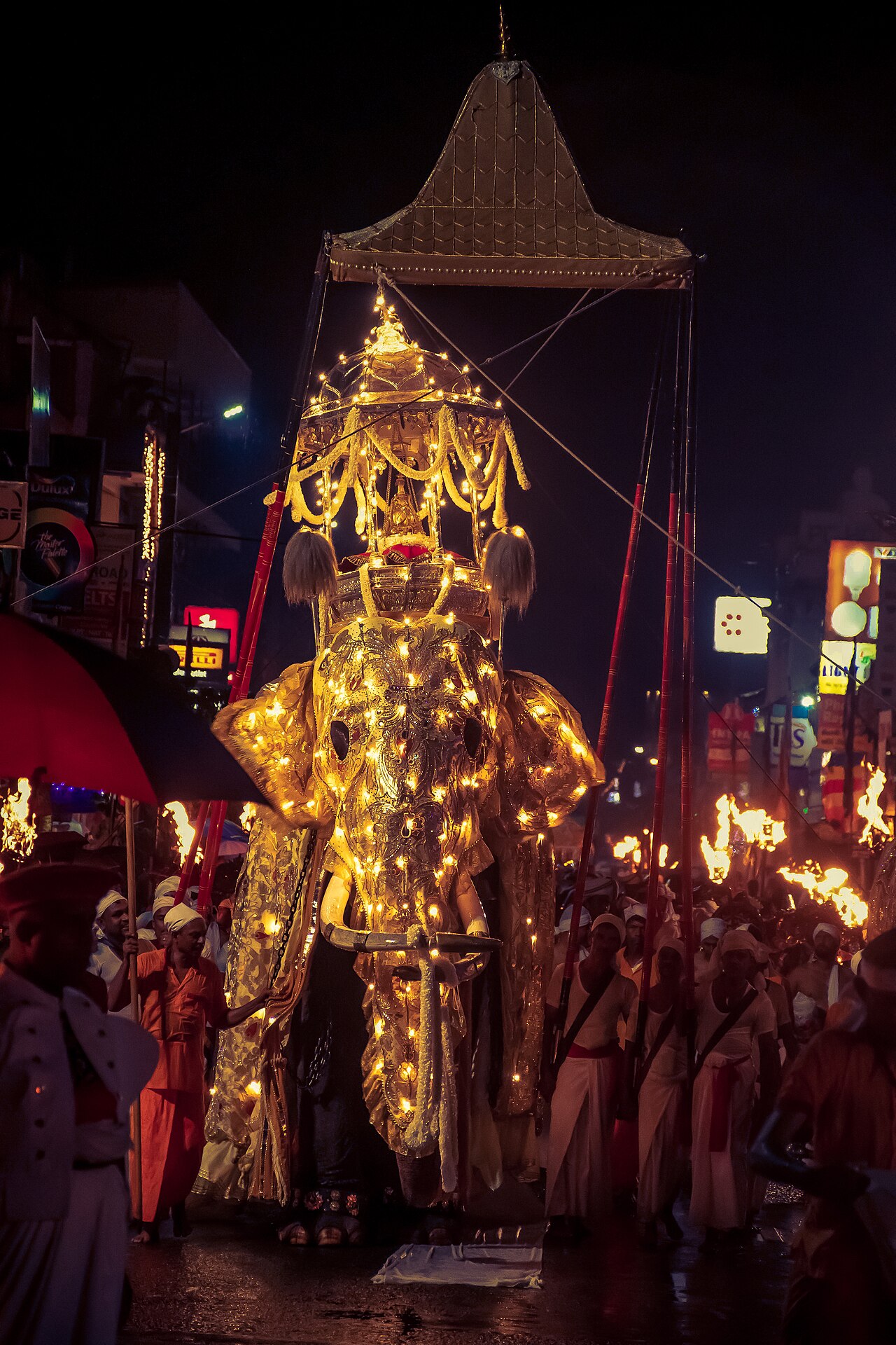 Foto fra Kandy, Sri Lanka – Sri lanka kandy esala perahera