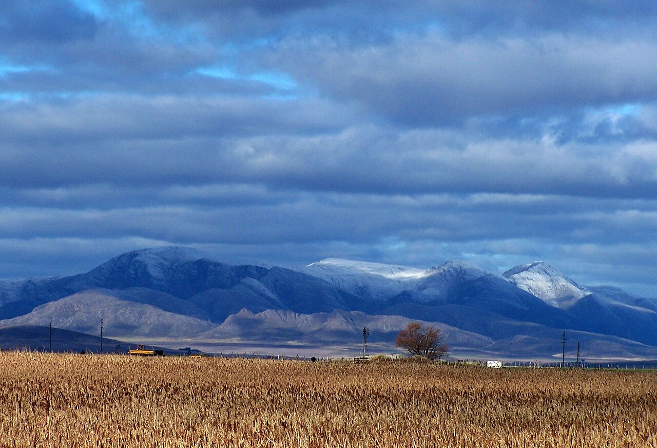 Pampas