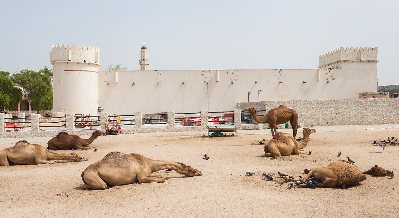 Foto fra Qatar – Fuerte Al Koot, Doha, Catar, -08-06, DD 03
