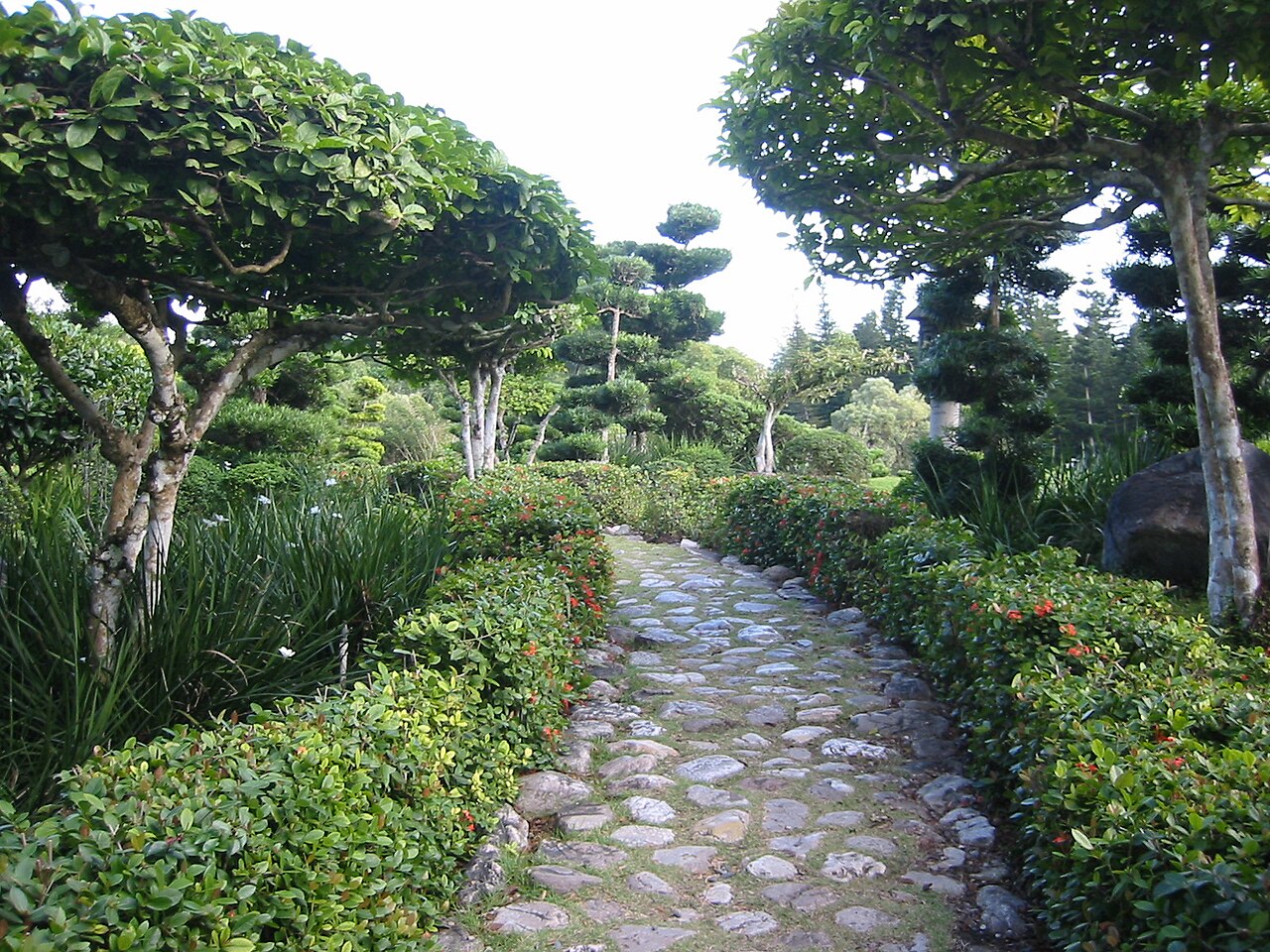 Foto fra Santo Domingo, Den dominikanske republikk – Botanischer Garten Santo Domingo