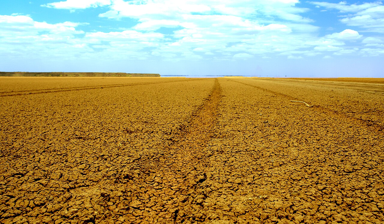 Foto fra Marsabit, Kenya – Tracks Chalbi Desert